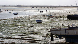 De Gâvres à Plouharnel : une vaste plage, un massif dunaire, des marais