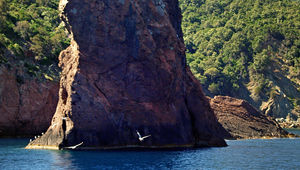 La réserve naturelle de Scandula et le golfe de Girolata