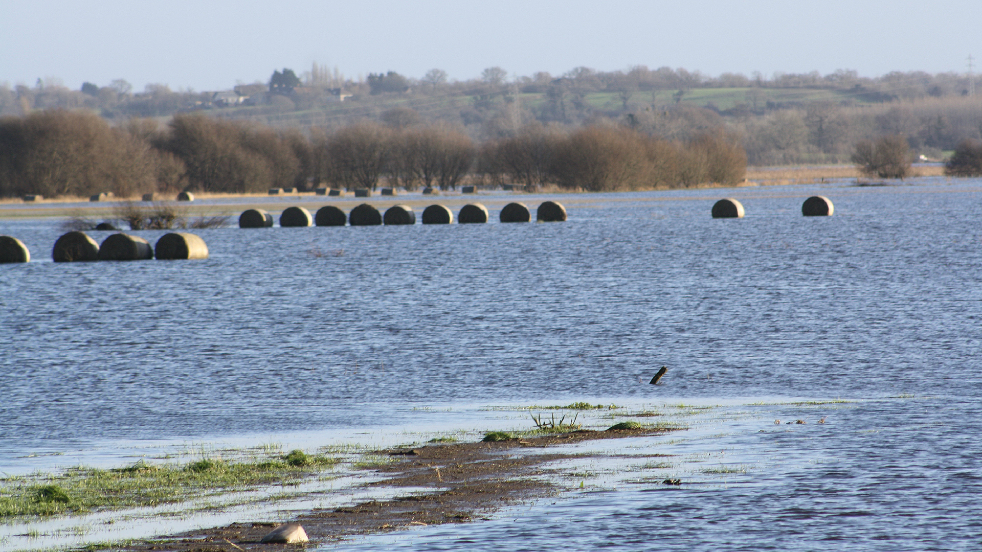 BAIE DES VEYS ET MARAIS DE CARENTAN