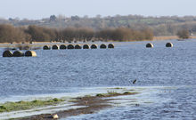 BAIE DES VEYS ET MARAIS DE CARENTAN