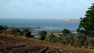 Du Léguer à la pointe de Primel : une baie de falaises interrompue par la grande grève de Saint-Michel