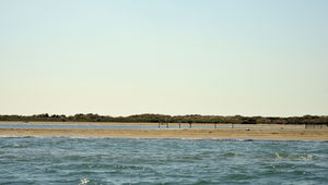 Sur le rivage, les plages de dunes de Beauduc et Piémanson