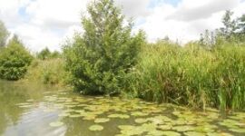 Photo Marais Audomarois 1