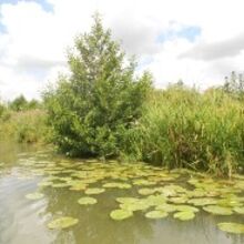 Photo Marais Audomarois 1