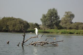 LAC DE GRAND LIEU