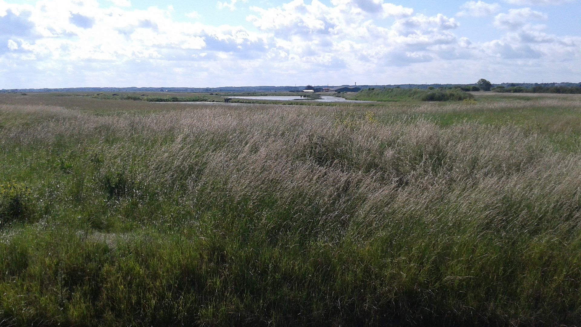 MARAIS BRETON