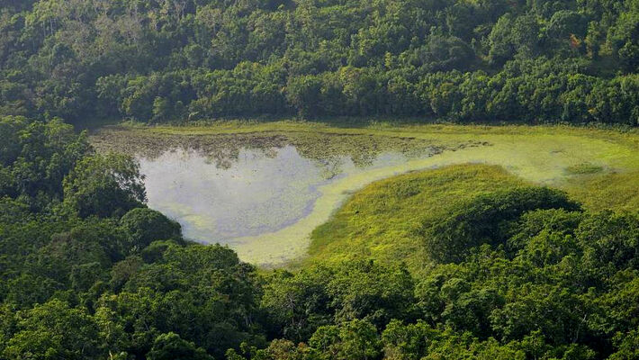 lac_karihani