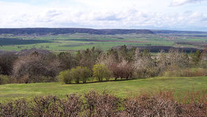 La plaine humide de la Woëvre, entre côtes de Meuse et rives de la Moselle