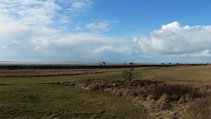 La Baie d’Yves et le Marais nord de Rochefort