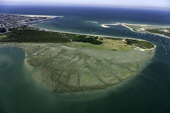 ESTUAIRE DE L'ORNE