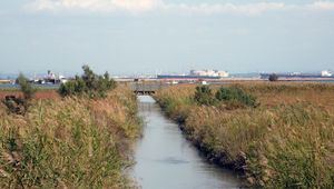 La Camargue périphérique