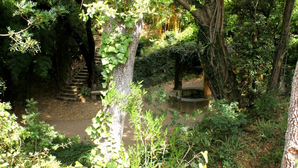 Jardin d'Asie subtropicale, puits de Chine   Domaine du Rayol, Chloé Arregoces