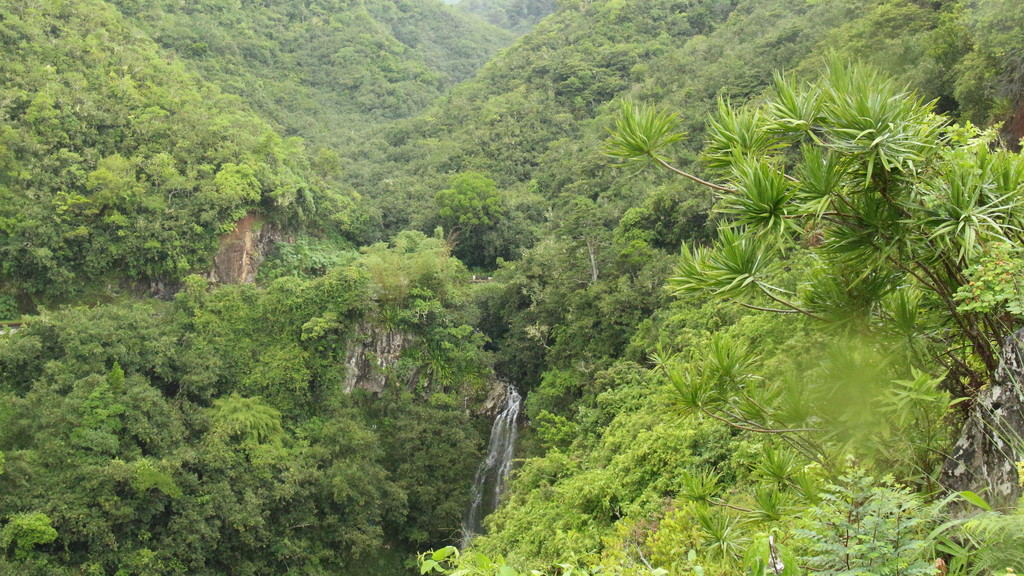 La Réunion - Cascade fond ravine à Jacques