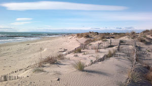 Derrière le cordon dunaire de la plage de l’Espiguette, les lagunes