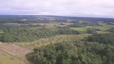 Sinnamary, ville, fleuve et savanes sauvages et agricoles