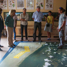 Visite de Barbara Pompili, Secrétaire d’État à la Biodiversité, sur les sites du Conservatoire en Guyane