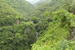 La Réunion - Cascade fond ravine à Jacques