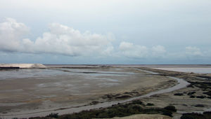 Salins, étangs et marais