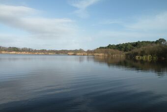 ETANG DU PONT DE FER