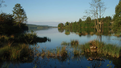 Au cœur du pays de Vassivière, un paysage lacustre de grande qualité