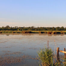 Arles, le marais de Vigueirat, 2014. 