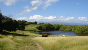 Des espaces agricoles et pittoresques 