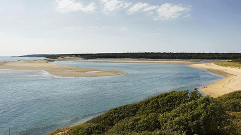 La côte dunaire et forestière