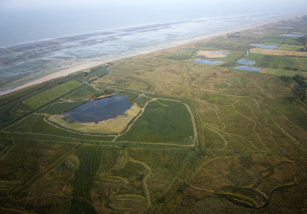 Picture : Conservatoire du Littoral