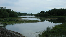 Le paysage du lac de Der-Chantecoq.