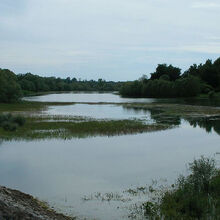 Le paysage du lac de Der-Chantecoq.