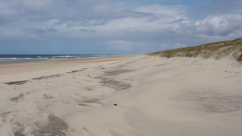 Au nord, des dunes et de vastes étangs