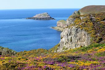 LANDES DU CAP FREHEL