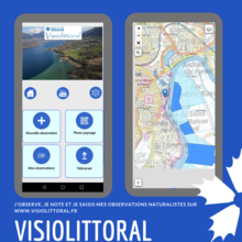 [VISIOLITTORAL] Une appli pour la biodiversité