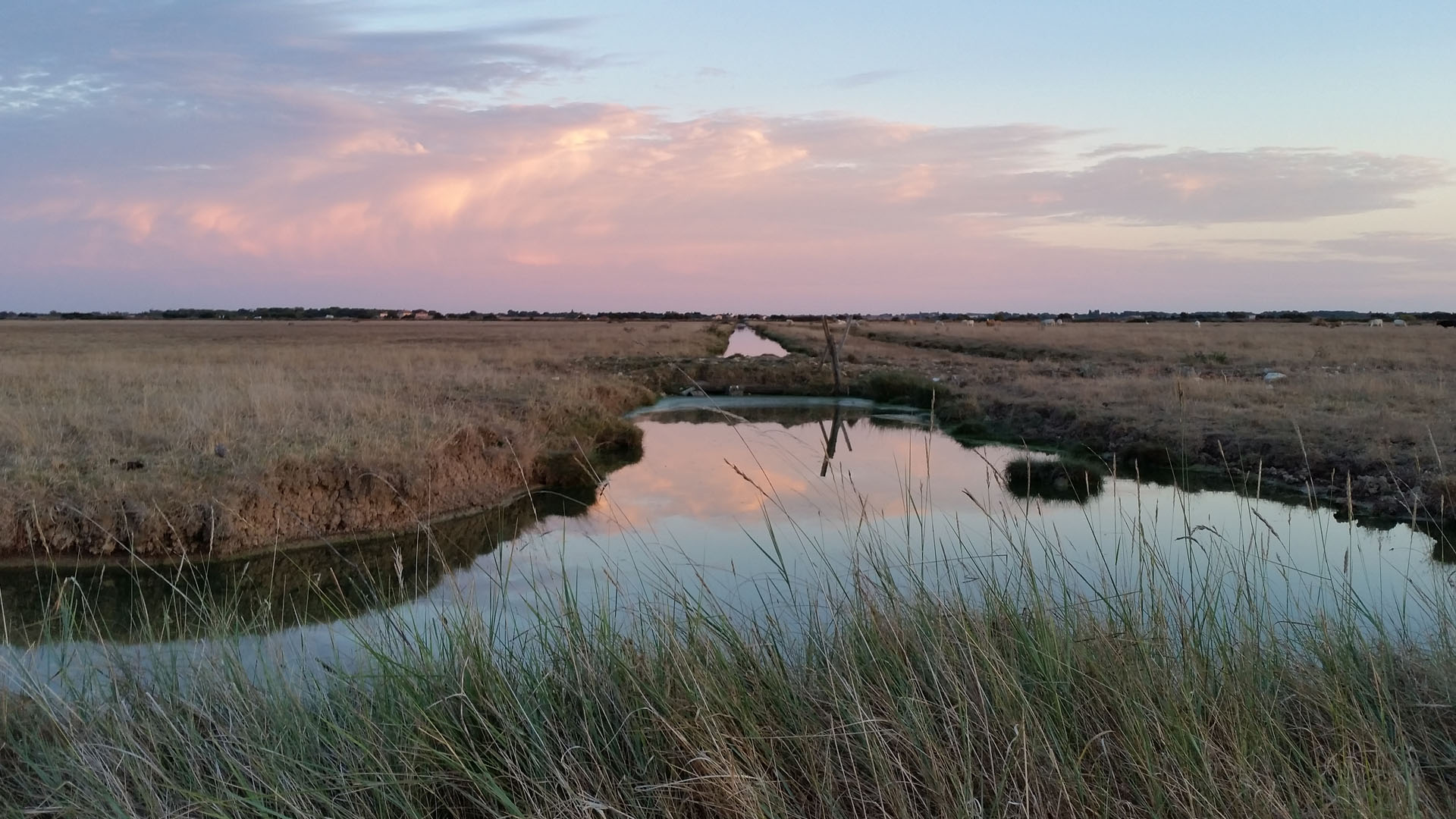 ESTUAIRE DE CHARENTE ET MARAIS DE ROCHEFORT NORD