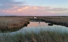 ESTUAIRE DE CHARENTE ET MARAIS DE ROCHEFORT NORD