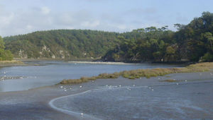 De la Laïta à la rive droite du Blavet : une basse côte rocheuse, des dunes, des étangs