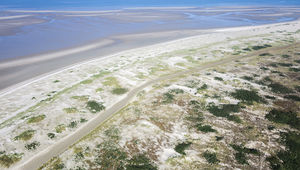 Le  Marquenterre, un paysage de bas-champs, dunes et marais