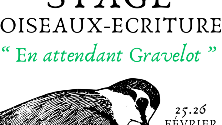 2affiche stage écriture plougrescant 2026