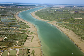 MARAIS DE BROUAGE