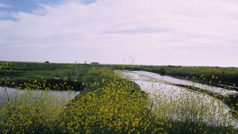 Le marais pastoral, les terres « hautes », et les alentours de Saujon