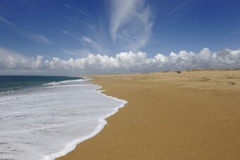 DUNES DU MAT FENOUX