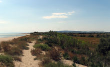 BASSE PLAINE DE L'AUDE