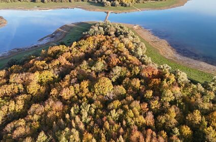 Les forêts du Conservatoire du littoral en Grand Est certifiées FSC®