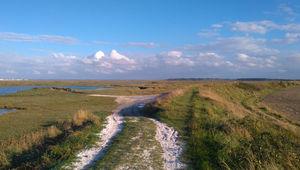Les bas-champs de Cayeux, paysage de polders 