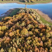 Les forêts du Conservatoire du littoral en Grand Est certifiées FSC®