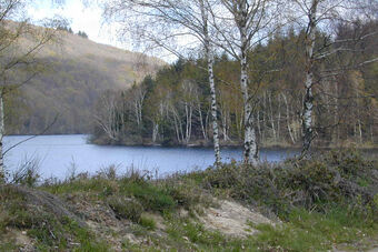 RIVES SUD DU LAC DE VASSIVIERE 