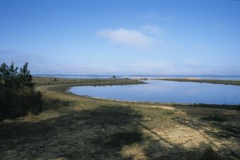 ETANG DE CARCANS - HOURTIN