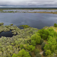 etang_cousseau