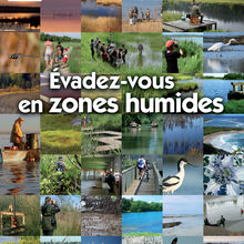 2 février : Journée mondiale des zones humides 