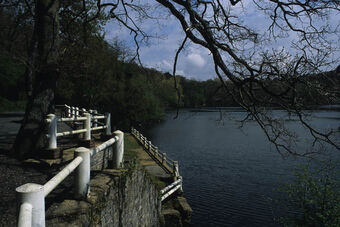 LAC MOURISCOT